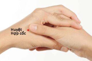 Minh họa vị trí huyệt đạo