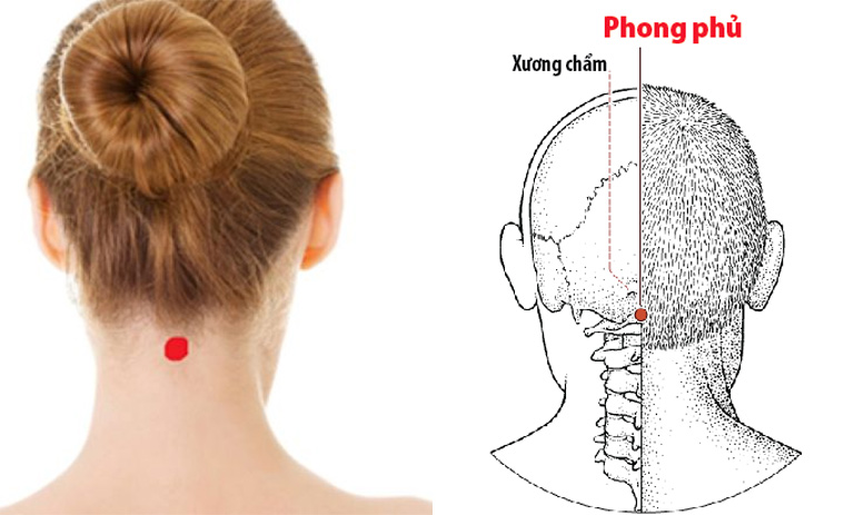 Vị trí huyệt Phong Phủ