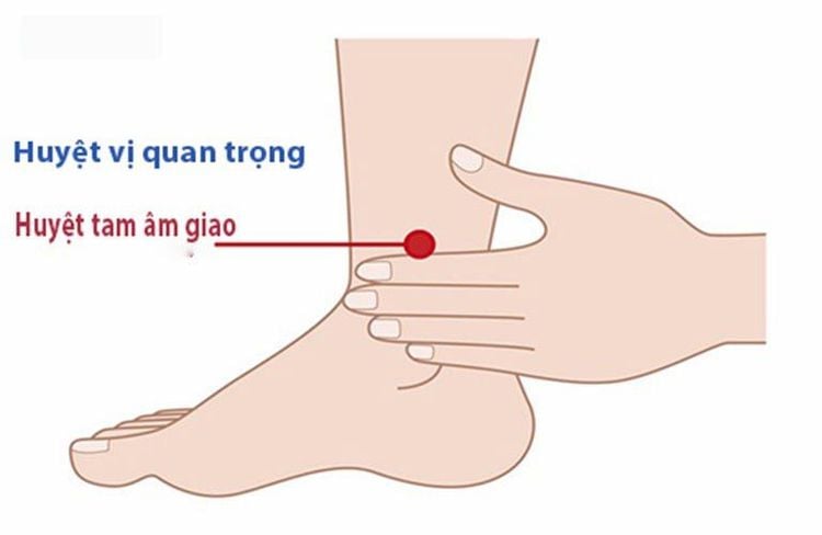 Vị trí huyệt Tam Âm Giao
