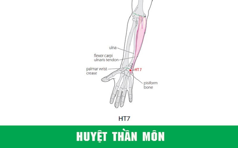 Vị trí huyệt Thần Môn